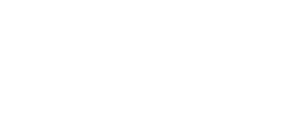 SEORTIX partner badge